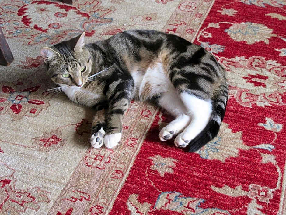 Redwood Valley B & B