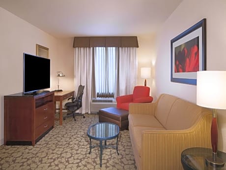 1 King Accessible 1 Bedroom Suite Roll In Shower