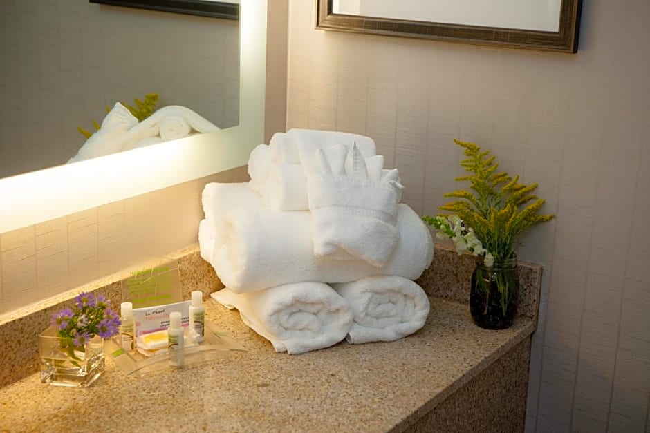 Holiday Inn Greenville By IHG