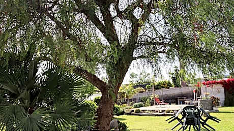 Enchanted garden a stones throw from the center