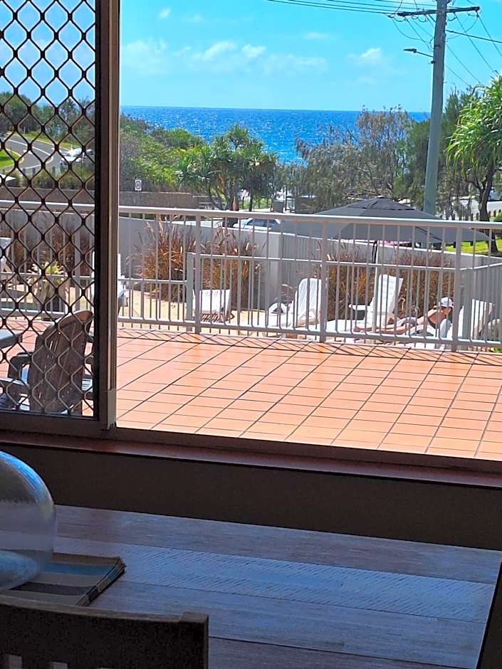 Pandanus Coolum Beach