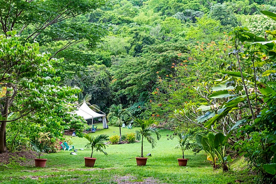 Martinique Treehouse