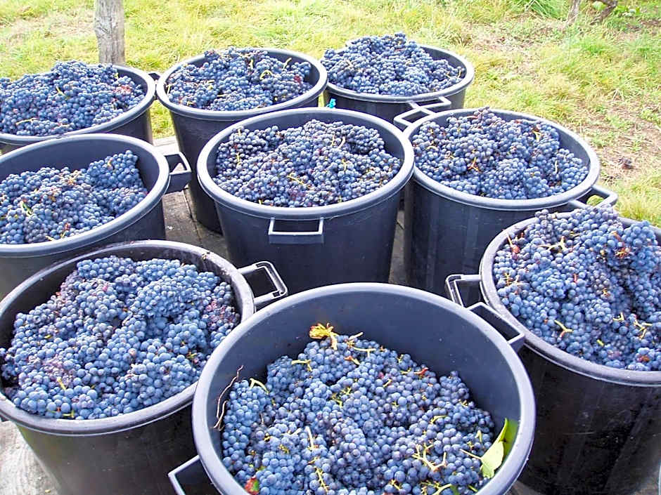 Chateau de la Vieille Chapelle