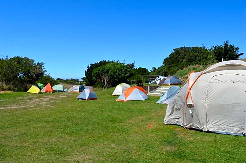 Dunedin Holiday Park