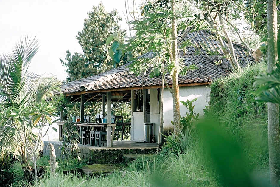 Padi Bali Jatiluwih