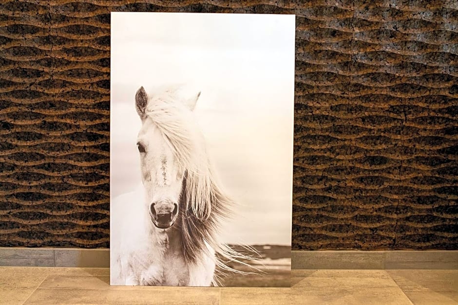 Green & Breakfast Fjord