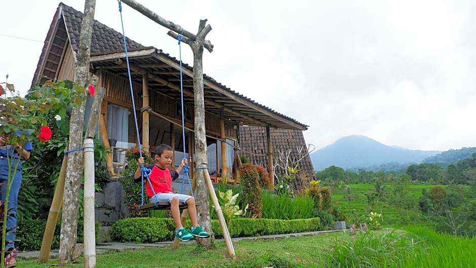 Padi Bali Jatiluwih