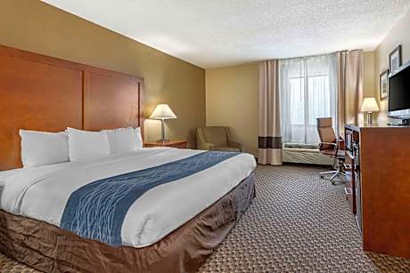 1 King Bed, Nonsmoking, Accessible