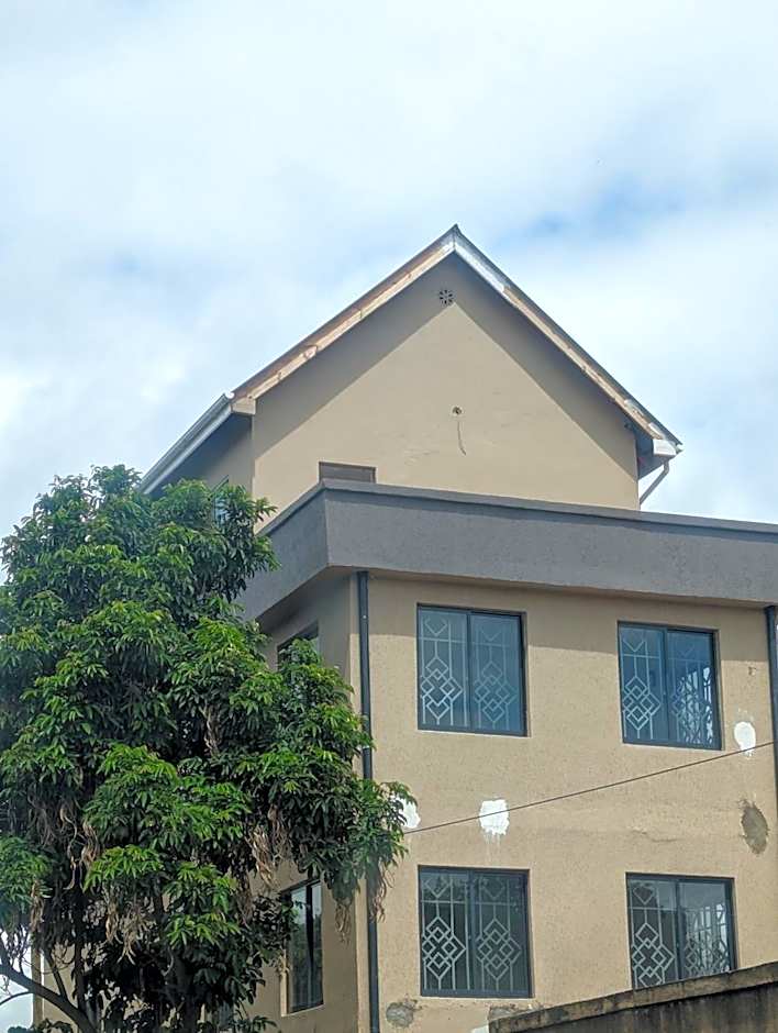 Mufasa city Hostel and Apartments