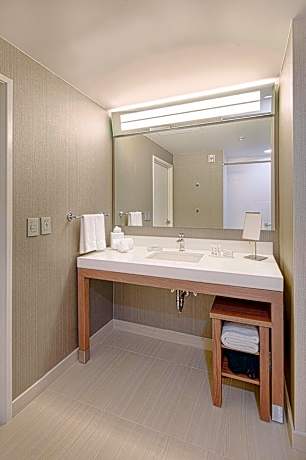 Suite, 1 King Bed with Sofa bed (1 King Bed and 1 Double Sofa Bed)