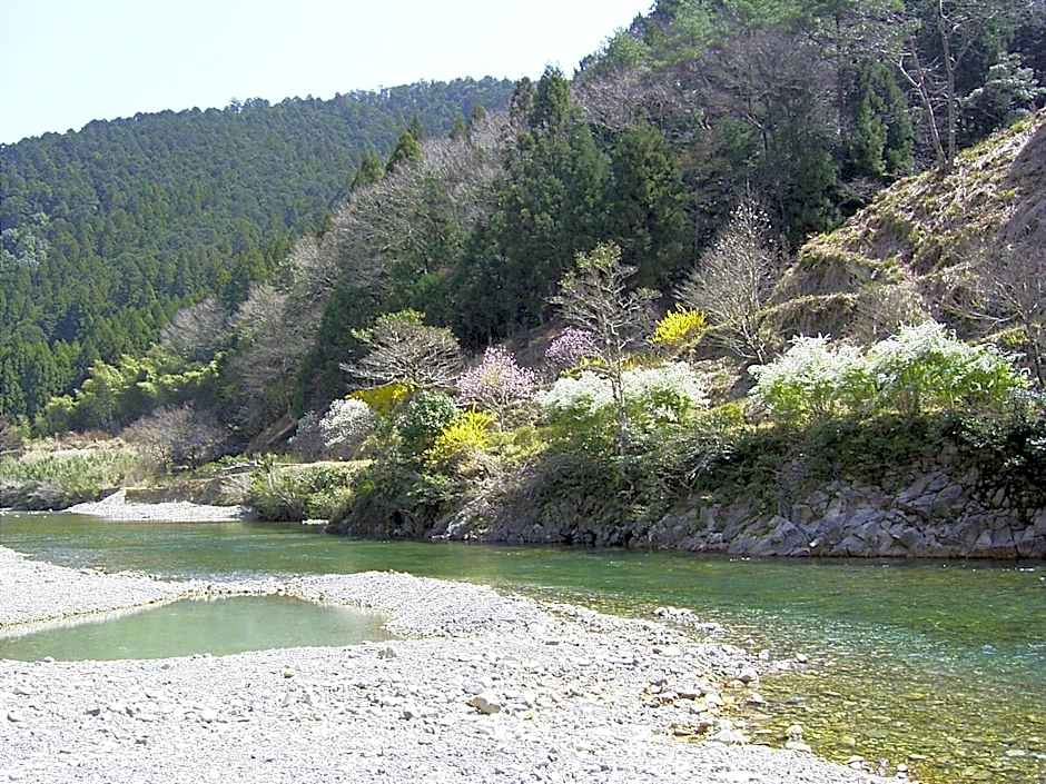 Ashita no Mori