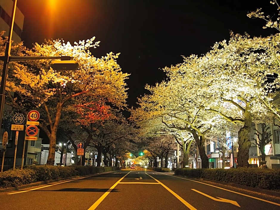 Tourist Hotel Hitachi