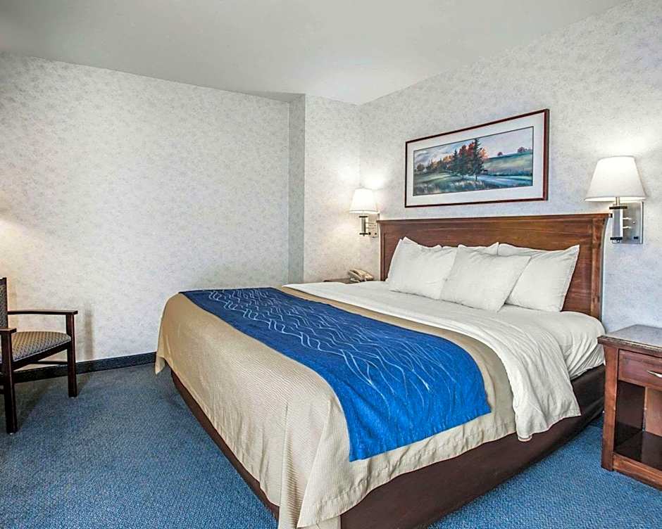 Comfort Inn Bellingham