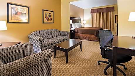 Suite - 1 King Bed, Nonsmoking, Sofabed