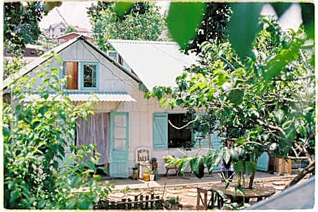 Vintage attic&garden in Da Lat center (private WC)
