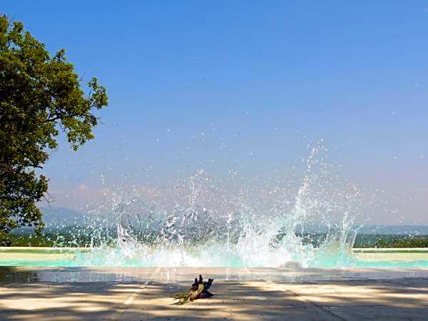 La Ferme Les Eybrachas