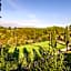 Villa Delia Hotel and Cooking School