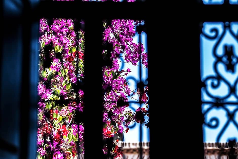 Riad Clémentine