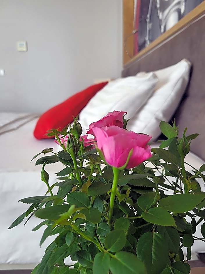Hotel Forza