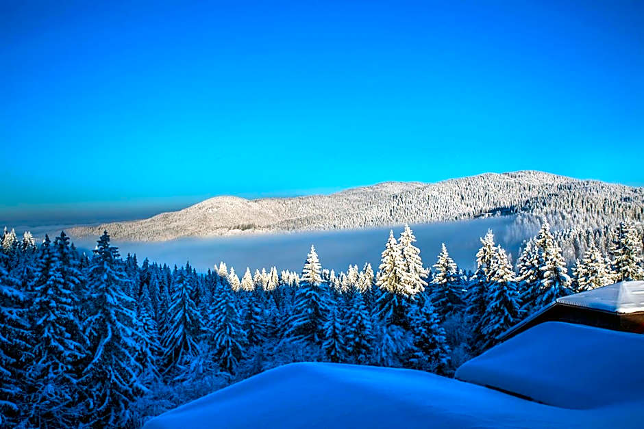 Sunny Hills Ski&Wellness