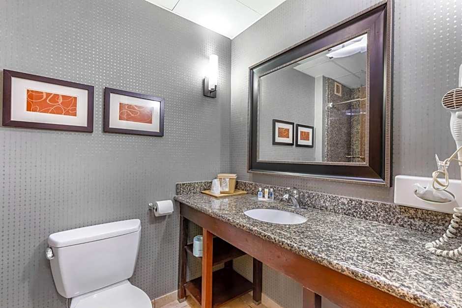 Comfort Suites Smyrna - Nashville Area