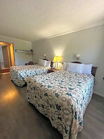 Standard Double Room with Two Double Beds