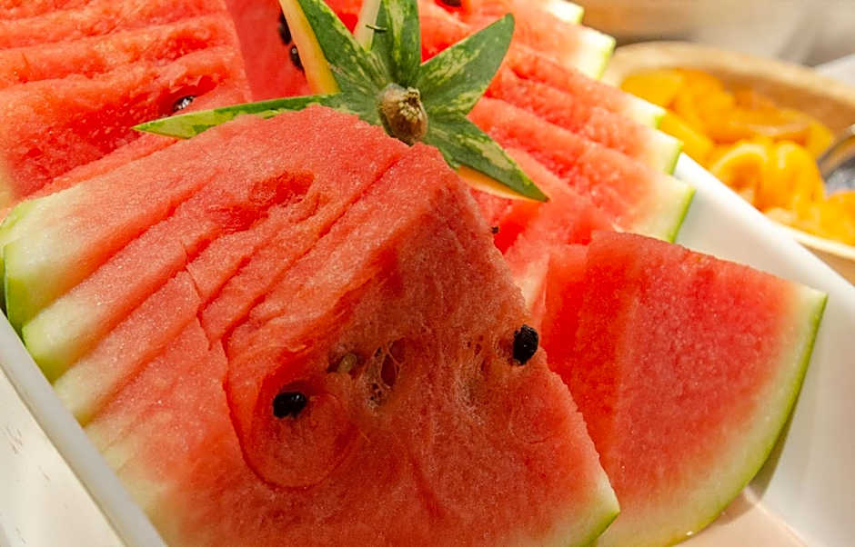 Ski Plaza Hotel & Wellness