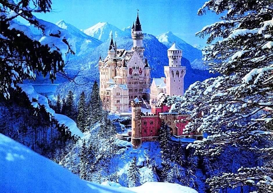 Haflingerhof