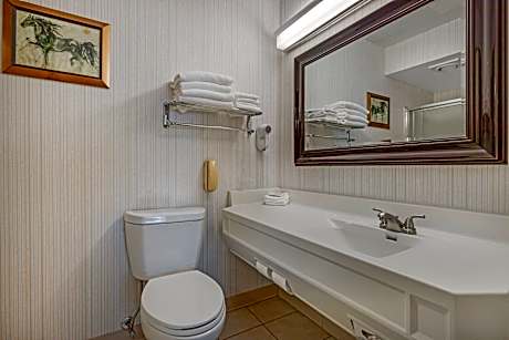 1 King Bed Suite Nonsmoking