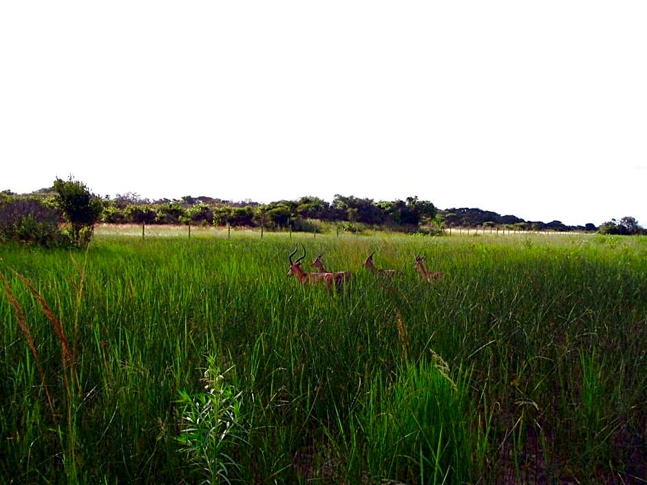Emdoneni Lodge