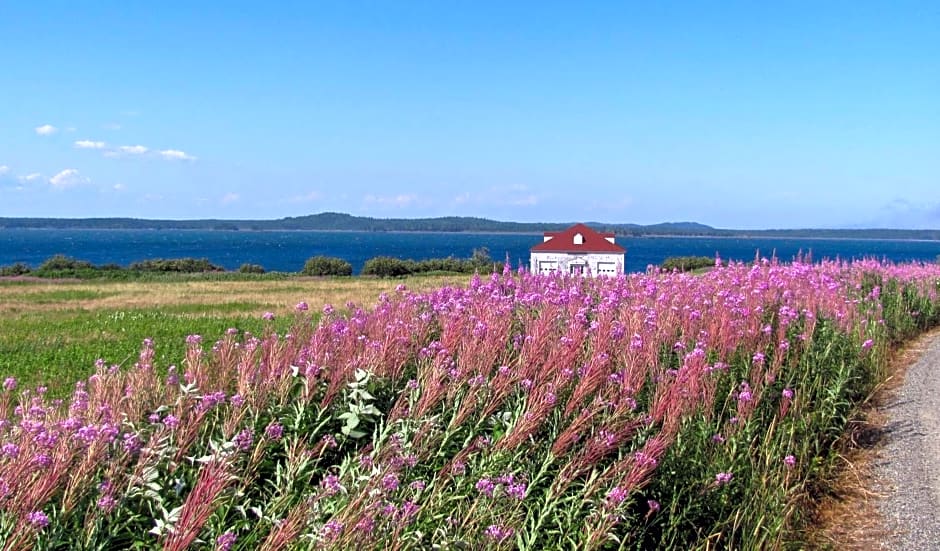 West Quoddy Station LLC