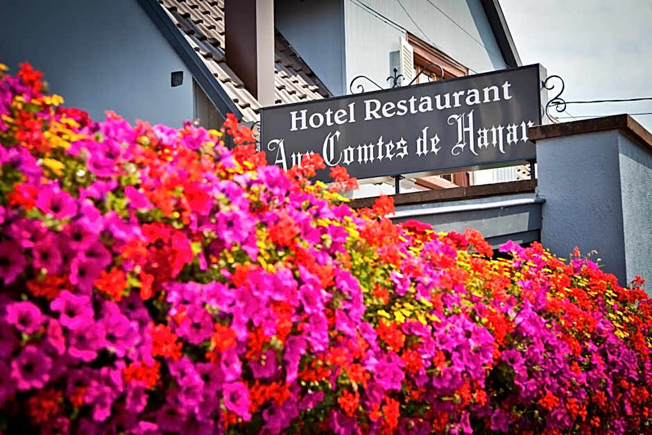 Logis Hotel Aux Comtes De Hanau