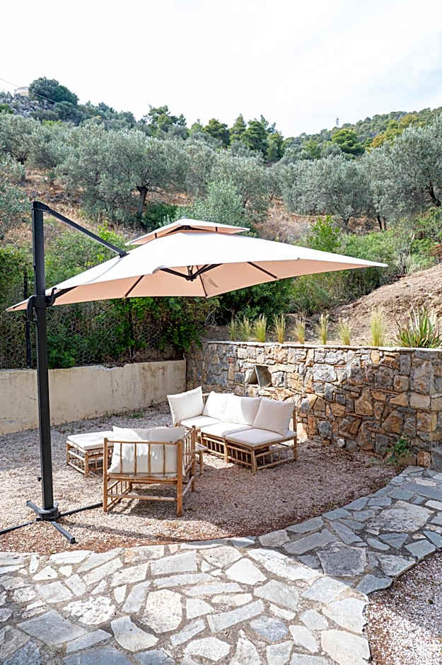 The White Rose Hotel