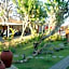 Villa Anjing 2