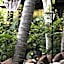 The Bohemian Bali, a Member of Design Hotels