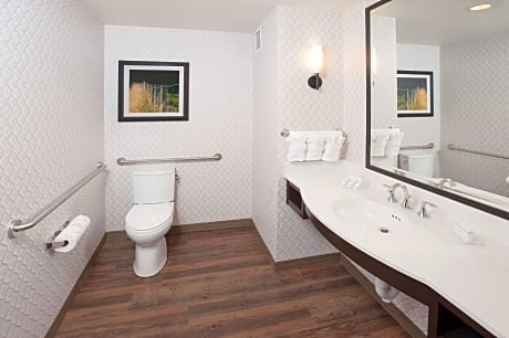One-Bedroom King Suite
