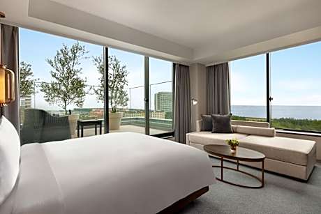 Deluxe King Room with One King Bed and Terrace