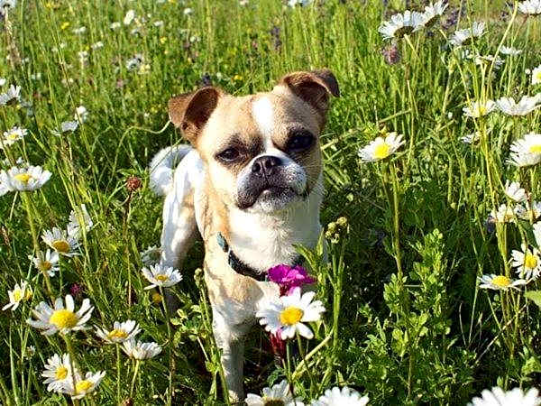 Bed & Breakfast Eckwirt