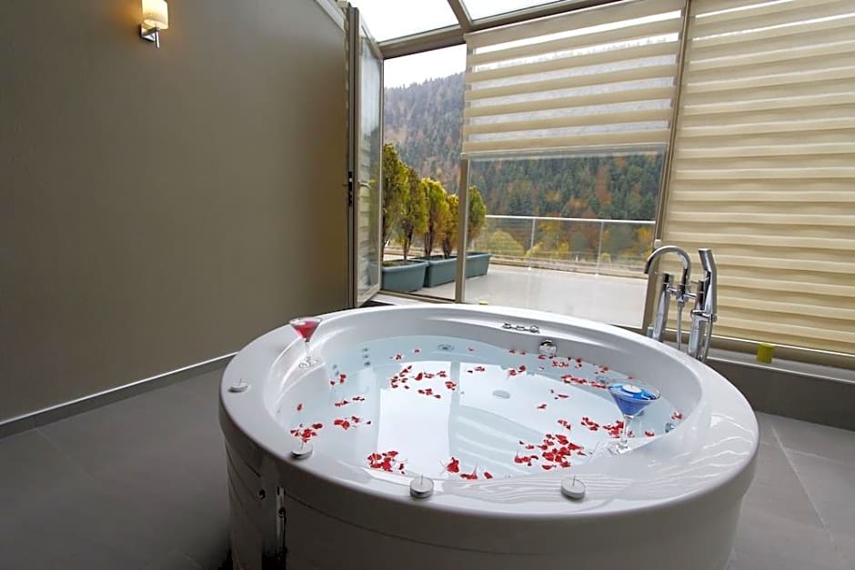 Abant Aden Boutique Hotel & Spa