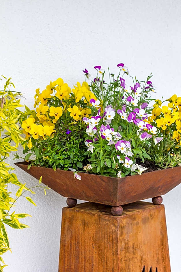 Pension Tannenhof