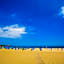 Le Dune Sicily Hotel