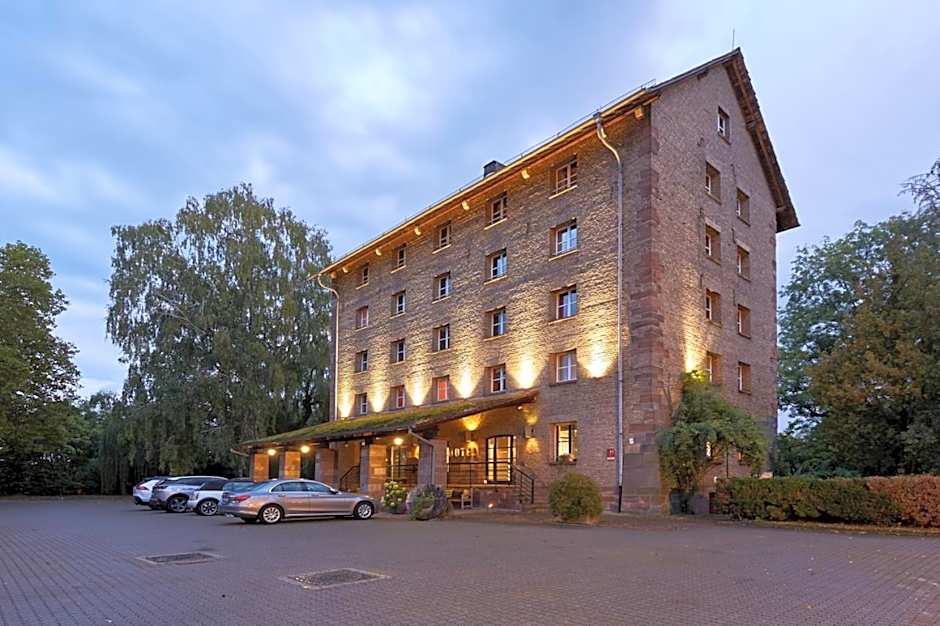 Hotel-SPA Le Moulin De La Wantzenau - Strasbourg Nord