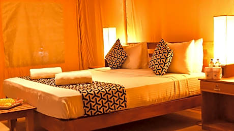 Single Room with Pool View