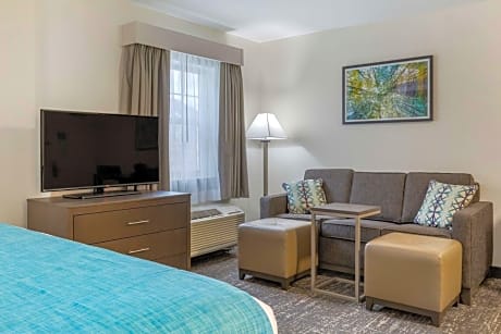 King Room with Sofa Bed and Wet Bar