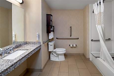 King Room with Accessible Tub - Mobility and Hearing Access/Non-Smoking