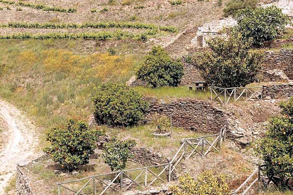 Quinta Nova Winery House - Relais & Châteaux