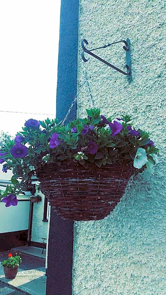 Castle Lodge B&B Kilkenny