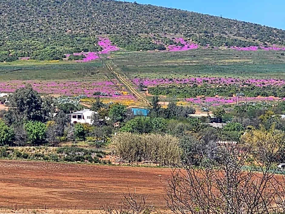 Kranskloof Country Lodge