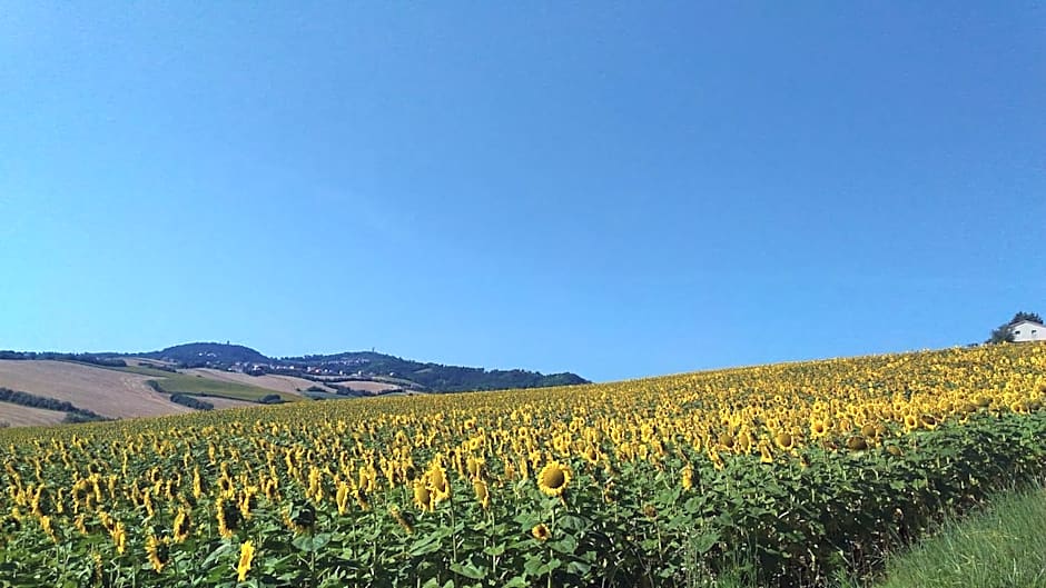 Casa Cairo Rooms&Services