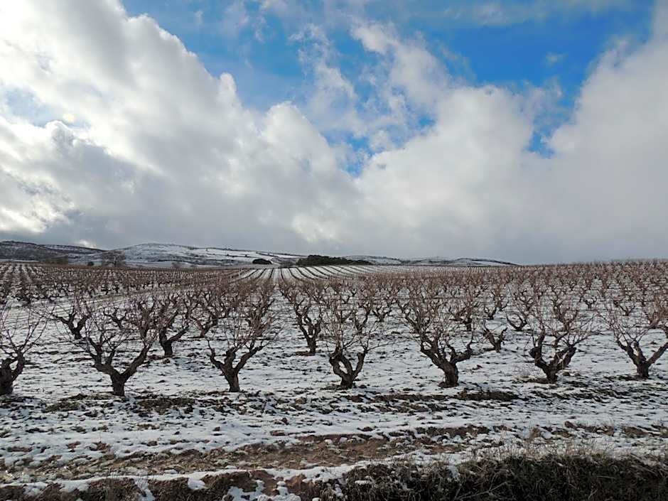 Hotel Bodegas Traslascuestas - GRUPO PIÉROLA